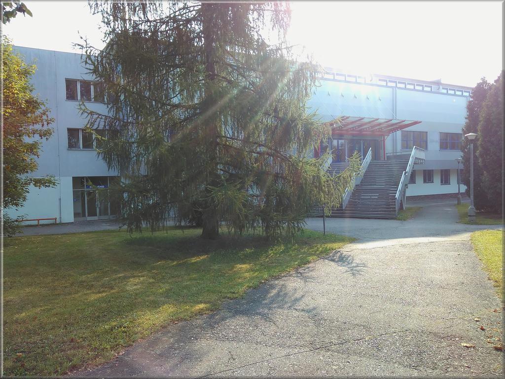 Hotel Zimni Stadion Tábor Exterior foto